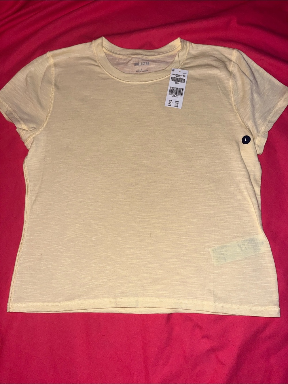 HOLLISTER Tee-shirt - L